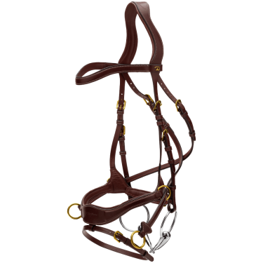 Hoofdstel D Motion D Collectie van Dy'on Bruin