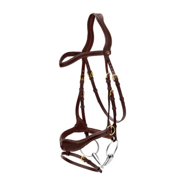 Bridon D Motion D Collection by Dy'on Marron