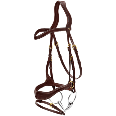 Hoofdstel D Motion D Collectie van Dy'on Bruin