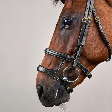 Bridon Dubbele Neusriem D Collection by Dy'on Zwart