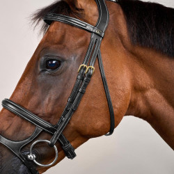 Bridon Dubbele Neusriem D Collection by Dy'on Zwart