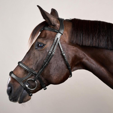 Hoofdstel Dubbele Neusriem New English Collection by Dy'on Zwart