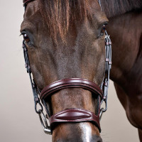 Bridon Double Muserolle New English Collection by Dy'on Noir Bridon Double Muserolle New English Collection by Dy'on Noir