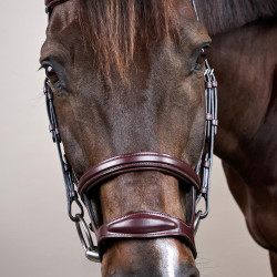 Bridon Double Muserolle New English Collection by Dy'on Marron