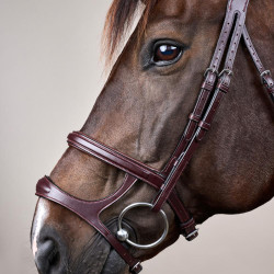 Hoofdstel Dubbele Neusriem New English Collection by Dy'on Bruin Hoofdstel Dubbele Neusriem New English Collection by Dy'on Bruin