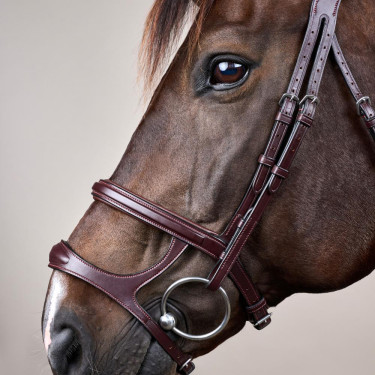 Hoofdstel Dubbele Neusriem New English Collection by Dy'on Bruin Hoofdstel Dubbele Neusriem New English Collection by Dy'on Bruin