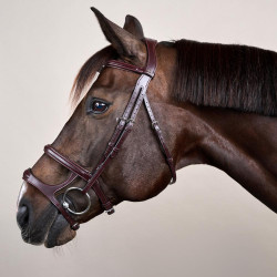 Bridon Double Muserolle New English Collection by Dy'on Marron