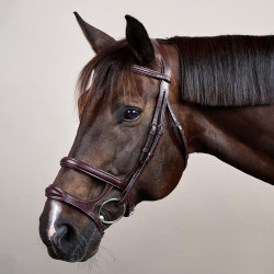 Bridon Double Muserolle New English Collection by Dy'on Marron