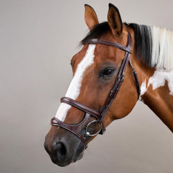 Bridon Dubbele Neusriem US Collectie by Dy'on Bruin