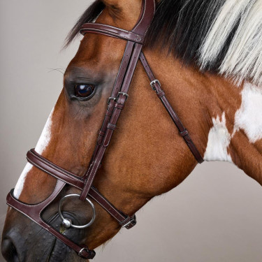 Bridon Dubbele Neusriem US Collectie by Dy'on Bruin