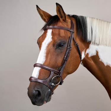Bridon Dubbele Neusriem US Collectie by Dy'on Bruin