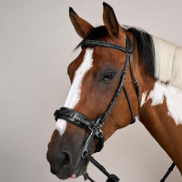 Bridon Hackamore US Collection by Dy'on Brun Marron