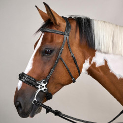 Bridon Hackamore US Collectie van Dy'on Zwart