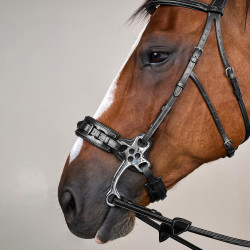 Bridon Hackamore US Collection by Dy'on Noir