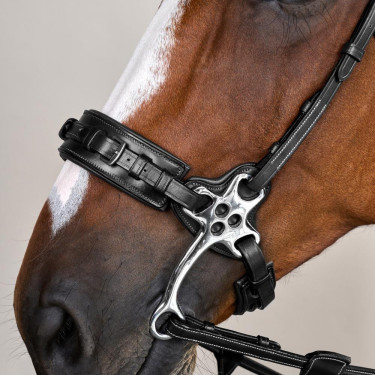 Bridon Hackamore US Collectie van Dy'on Zwart