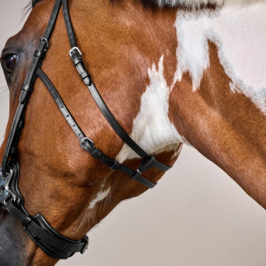 Bridon Hackamore US Collectie van Dy'on Zwart