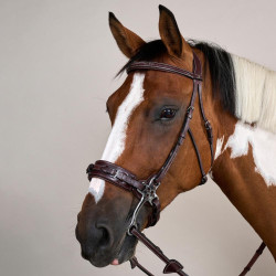 Bridon Hackamore US Collection by Dy'on Brun Marron Bridon Hackamore US Collection by Dy'on Brun Marron