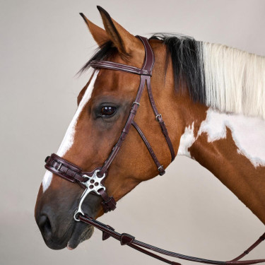 Bridon Hackamore US Collectie van Dy'on Bruin Bridon Hackamore US Collectie van Dy'on Bruin