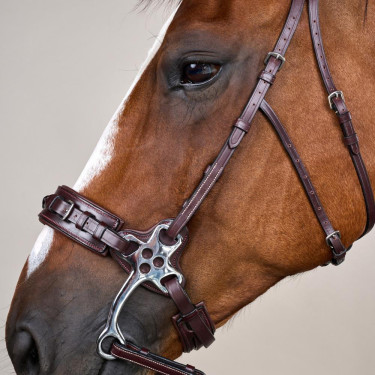 Bridon Hackamore US Collection by Dy'on Brun Marron Bridon Hackamore US Collection by Dy'on Brun Marron