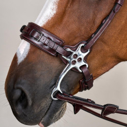 Bridon Hackamore US Collection by Dy'on Brun Marron Bridon Hackamore US Collection by Dy'on Brun Marron