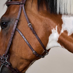 Bridon Hackamore US Collection by Dy'on Brun Marron Bridon Hackamore US Collection by Dy'on Brun Marron
