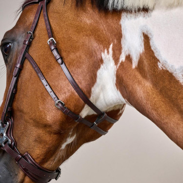 Bridon Hackamore US Collectie van Dy'on Bruin Bridon Hackamore US Collectie van Dy'on Bruin