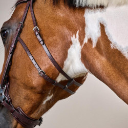 Bridon Hackamore US Collection by Dy'on Brun Marron Bridon Hackamore US Collection by Dy'on Brun Marron