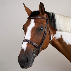 Bridon Hunter US Collectie van Dy'on Bruin Bridon Hunter US Collectie van Dy'on Bruin