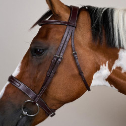 Bridon Hunter US Collectie van Dy'on Bruin Bridon Hunter US Collectie van Dy'on Bruin