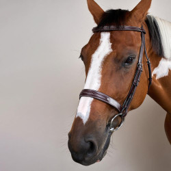 Bridon Hunter US Collection by Dy'on Brun Marron Bridon Hunter US Collection by Dy'on Brun Marron