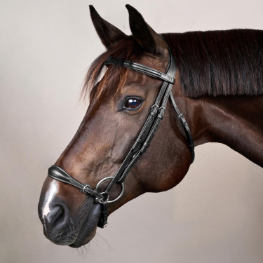Halster Duitse Neusriem Verstelbaar New English Collection by Dy'on Zwart