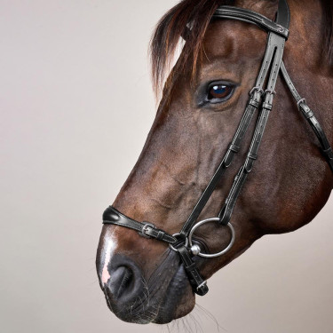 Halster Duitse Neusriem Verstelbaar New English Collection by Dy'on Zwart
