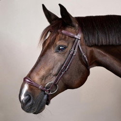 Halster Duitse Neusriem Verstelbaar New English Collection by Dy'on Bruin