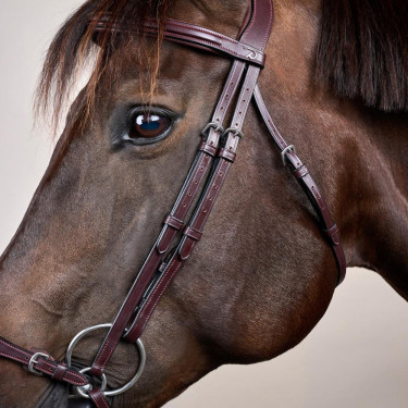 Bridon Muserolle Allemande Ajustable New English Collection by Dy'on Brun Marron