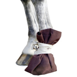 Chaussure de traitement Covalliero