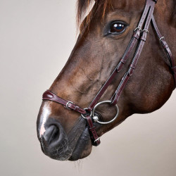 Halster Duitse Neusriem Verstelbaar New English Collection by Dy'on Bruin