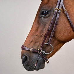 Hoofdstel Duitse Neusriem Verstelbaar D Collection by Dy'on Bruin