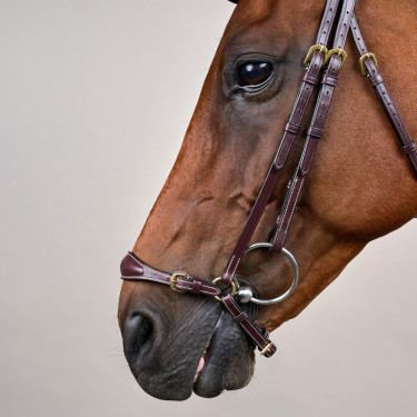 Hoofdstel Duitse Neusriem Verstelbaar D Collection by Dy'on Bruin