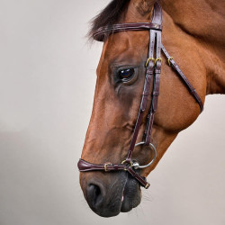 Hoofdstel Duitse Neusriem Verstelbaar D Collection by Dy'on Bruin