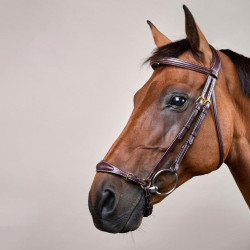 Bridon Muserolle Allemande Ajustable D Collection by Dy'on Brun Marron Bridon Muserolle Allemande Ajustable D Collection by Dy'on Brun Marron