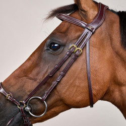 Hoofdstel Duitse Neusriem Verstelbaar D Collection by Dy'on Bruin