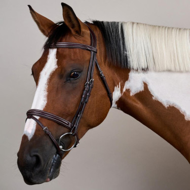 Bridon Muserolle Combinée US Collection by Dy'on Brun Marron