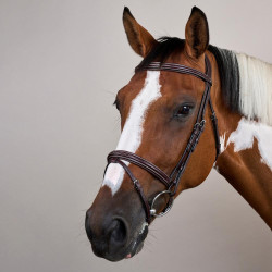 Bridon Muserolle Combinée US Collection by Dy'on Brun Marron