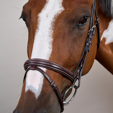 Bridon Muserolle Combinée US Collection by Dy'on Brun Marron