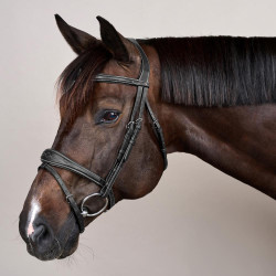 Hoofdstel Combiné Anatomisch US Collectie by Dy'on Zwart