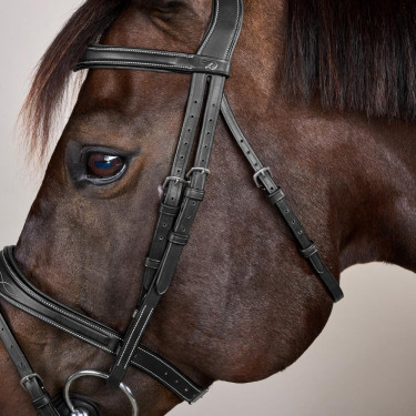 Hoofdstel Combiné Anatomisch US Collectie by Dy'on Zwart