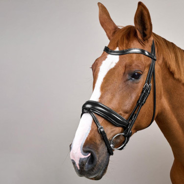 Bridon Combiné Met Brede Neusriem Working By Dy'on Zwart Bridon Combiné Met Brede Neusriem Working By Dy'on Zwart