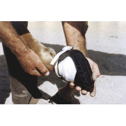 Sandale pour sabots Shoof Covalliero Sandale pour sabots Shoof Covalliero