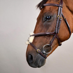 Bridon Muserolle Croisée D Collection by Dy'on Brun Marron Bridon Muserolle Croisée D Collection by Dy'on Brun Marron