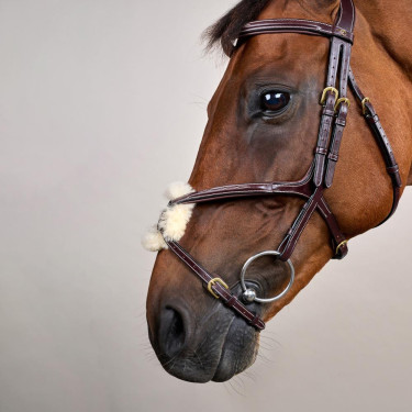 Bridon Muserolle Croisée D Collection by Dy'on Brun Marron Bridon Muserolle Croisée D Collection by Dy'on Brun Marron